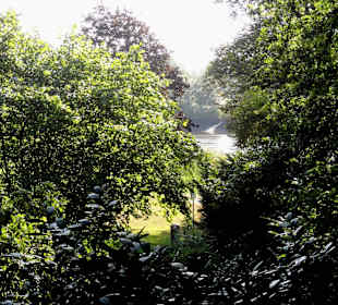 Herbstspaziergang durch Knoops Park