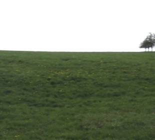 Wanderweg Firstwaldrunde