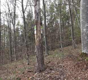 Wanderweg Hochgehswiggert