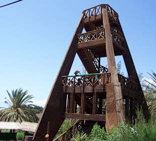 Oasis Park Falkner Show