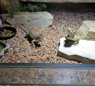 Exotarium