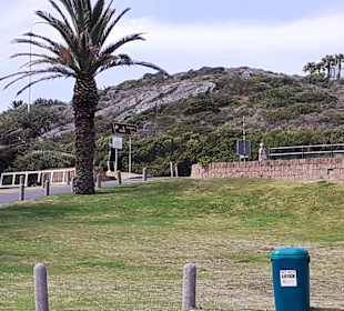 Maiden's Cove