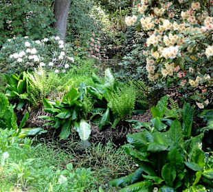 Impressionen vom Rundweg durch den Park