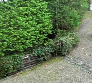 Wallerstein Gardens Baldern