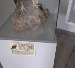 Museum Rosenburg