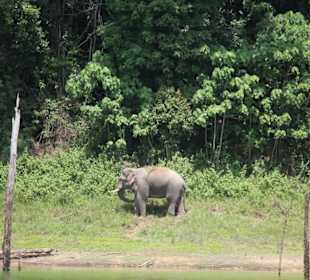 Dschungel- und Bootstour