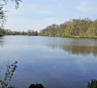 Impressionen vom Weg um den Hasportsee