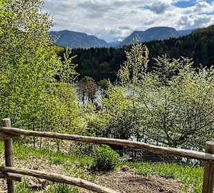 Wandern Appiano sulla Strada del Vino / Eppan an der Weinstr