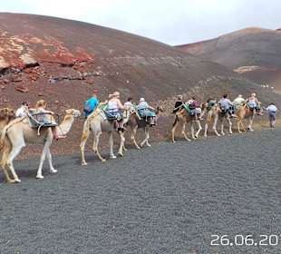 Kamelritt im Naturpark Timanfaya