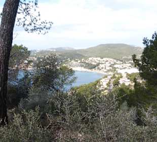 Wanderung Cap Andritxol - Blick nach Camp de Mar