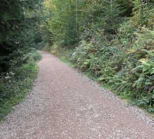 Baumkronenweg 