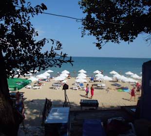 Wirklich gut gemacht.