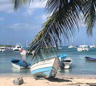 Isla Saona