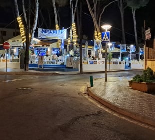 Mosquito Bar