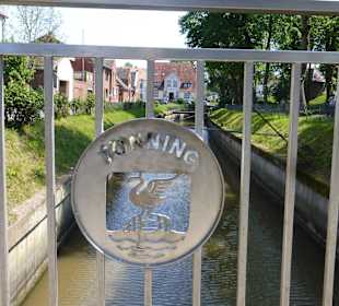 Auch an der Brücke ist der Schwan von Tönning