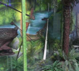 Museum für Völkerkunde