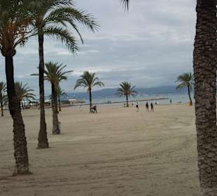 Strandansicht gegen Abend 