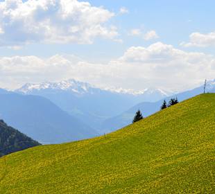 Auf dem Taser Höhenweg