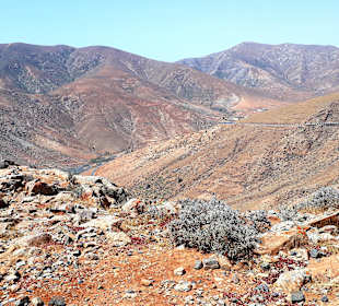 Inselrundfahrt Tagestour