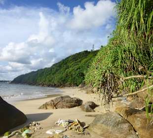 Strandidylle: Jungle Beach