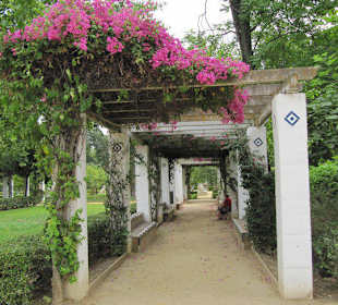 Fin de semana en sevilla