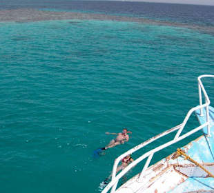 Schnorchelan vor den Giftun-Inseln