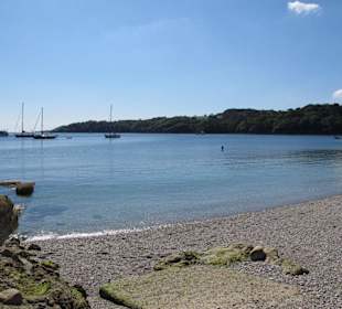 Strand von Trebah Garden