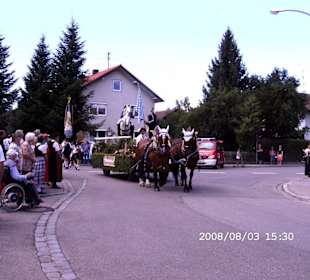 Pferdewagen beim Umzug