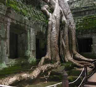 Ausflug Angkor