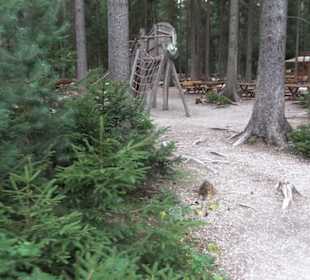 Dinosaurier Museum Altmühltal