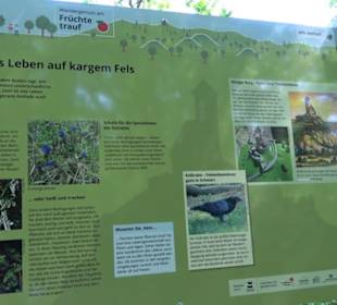 Wanderweg Sieben-Täler-Runde 