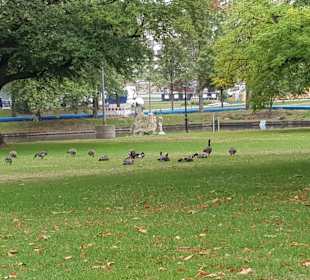 Hofgarten Düsseldorf