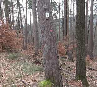 Unterjesinger Wengertwegle