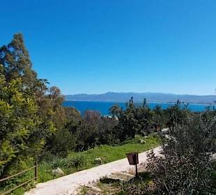 Wanderweg durch den Botanischen Garten