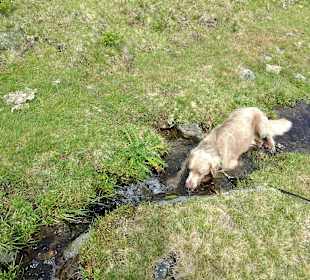 Wandern Fügen (Zillertal)