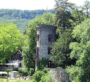 Holzbrücke Ausblick
