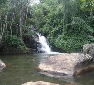 Wasserfall in der Nähe.