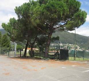 Uferpromenade in Richtung Dongo