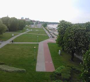 Widok z dachu