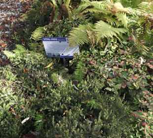 Kneipp`scher Sinnesgarten