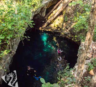 Tauchen in der Cenote el Pit