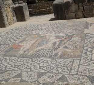 Volubilis