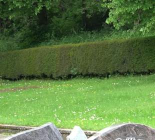 Friedhof Unteriflingen