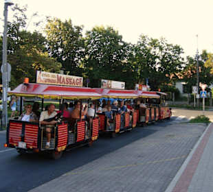 Mit dem Dotto zum Weinberg