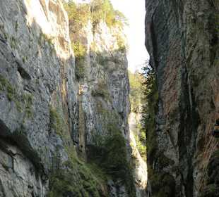 In der Aareschlucht