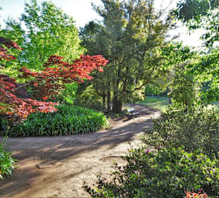 Eindrücke vom Rundgang durch Blandy´s Garden