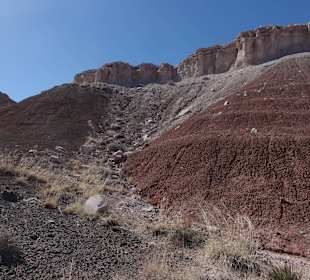 Painted Desert _вид26