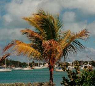 Hafen in Abaco