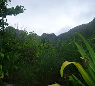 Maya Bay