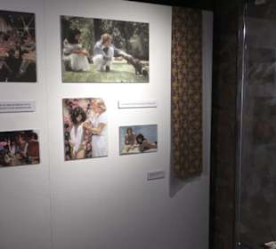 Theodor Zink Museum
